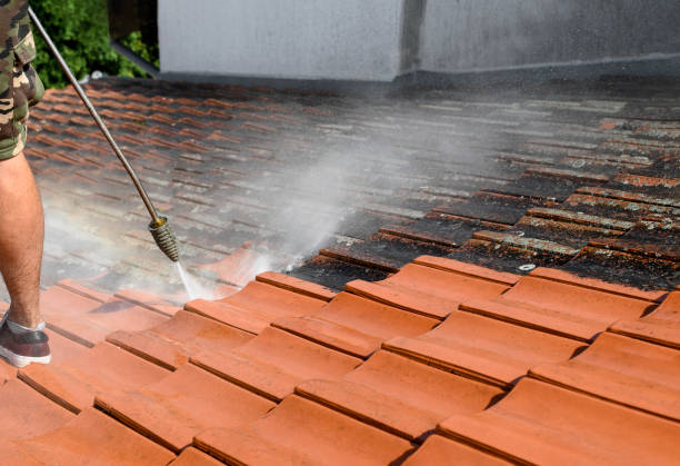 Best Power Washing Near Me  in Kearney, MO